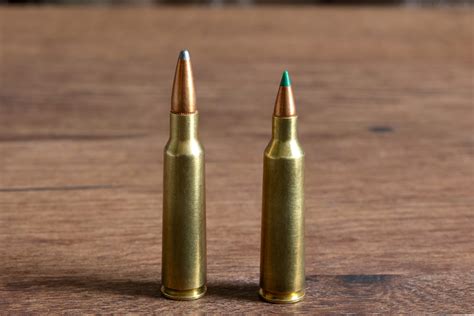 The Best Wildcat Centerfire Cartridges Outdoor Life