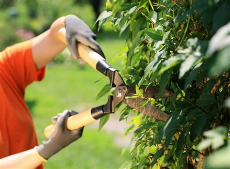 How Property Laws Affect Gardeners Thriftyfun