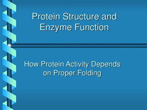 Ppt Protein Structure And Enzyme Function Powerpoint Presentation