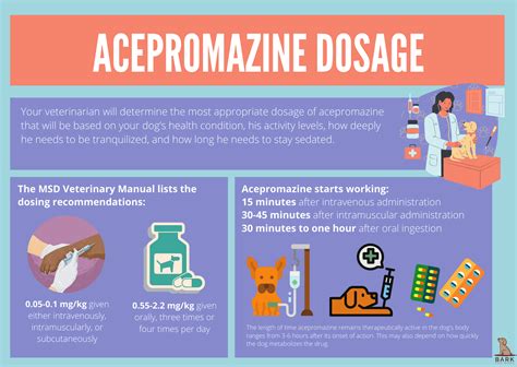 Everything You Need To Know About Acepromazine For Dogs Bark For More