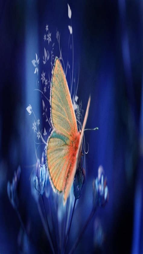 Butterfly Wallpaper For Android Pixelstalknet