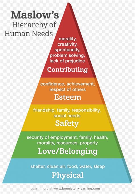 Maslows Hierarchy Of Needs Basic Needs Fundamental Human Needs Homo