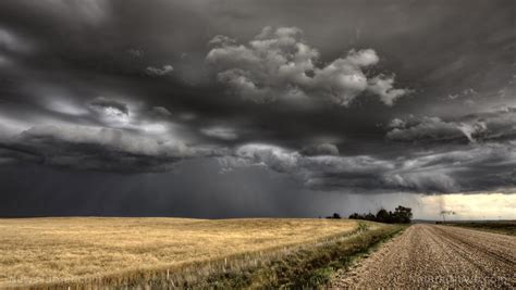 The derecho storm that swept through the area monday, august 10th has been devastating to our communities. "Great Derecho" storm just destroyed crops, grain stores ...