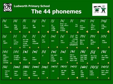 Ppt The 44 Phonemes Powerpoint Presentation Id5580627