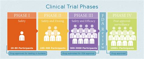 Phases Of Clinical Trials Ckalist Free Listing For Search Engines