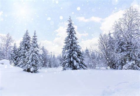 Snow Forest White Winter Wonderland Photography Backdrop Snow Forest