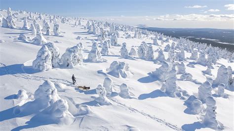 Lapland FAQ - Frequently Asked Questions | Visit Finnish Lapland