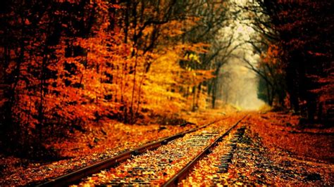 10 Best High Definition Autumn Wallpaper Full Hd 1080p For Pc Background