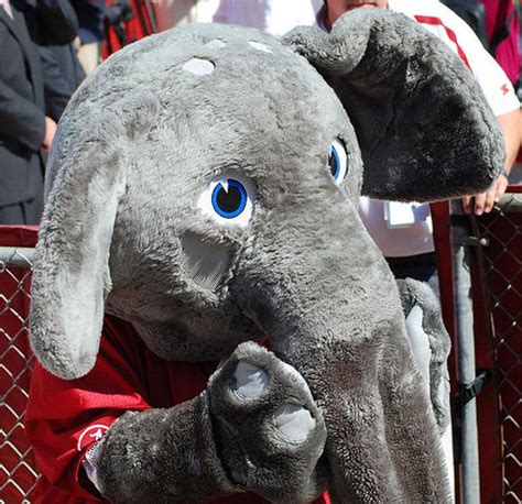 Jun 10, 2016 · the elephant story. 12 Cool College Mascots - StateUniversity.com Blog