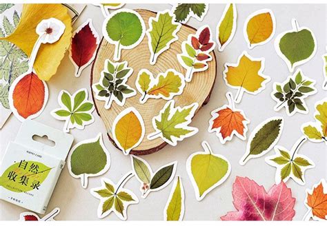 Autumn Leaf Stickers Plant Stickers Pack Cute Fall Leaves Etsy