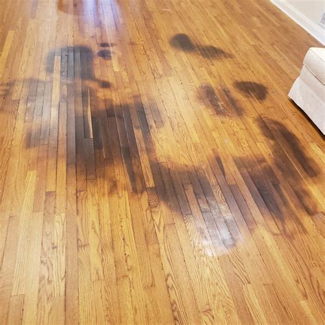 Refinishing Hardwood Floors With Pet Stains Options For Fixing
