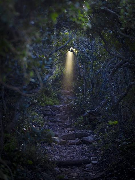 Faery Path Faerie And Fairy Tales Pinterest