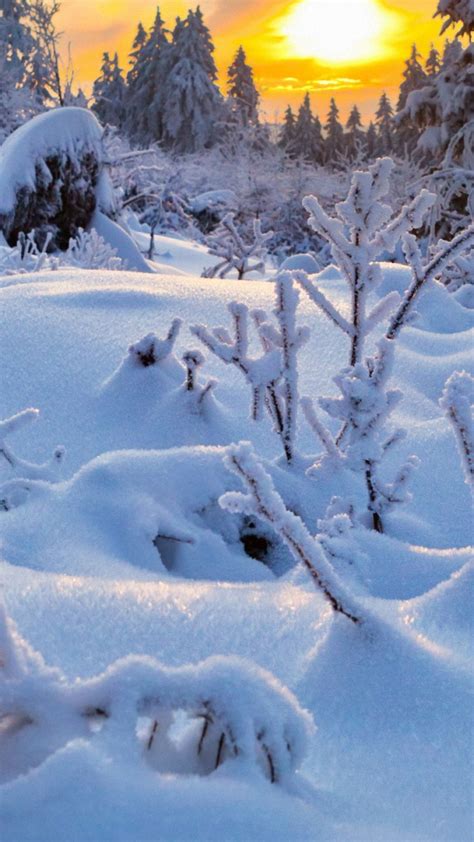 Winter Wallpaper for Iphone. | Winter scenery, Winter landscape, Winter ...