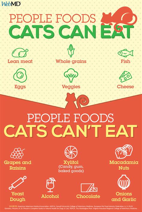 People Foods Cats Can Eat Foods Cats Can Eat Cat Nutrition Healthy