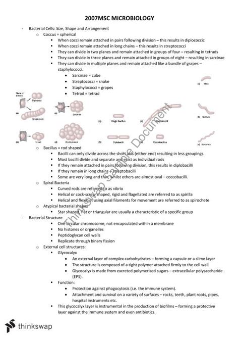 Microbiology Notes 2007msc Microbiology Griffith Thinkswap