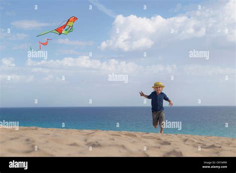 Boy Flying Kite On Beach Stock Photo Alamy