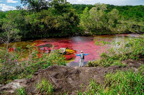 Caño Cristales River Trip 4 Days Colombia Flashpackerconnect