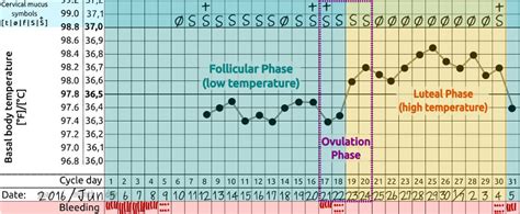 What Does Your Basal Temperature Tells You Pregnancy Tips