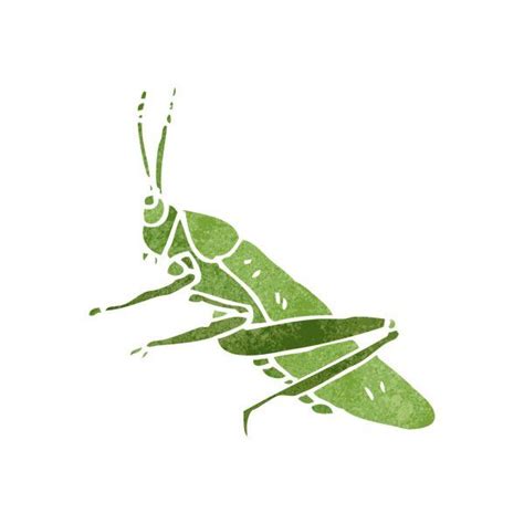 Cartoon Grasshopper Vector Gr Fico Vectorial Im Genes De Cartoon