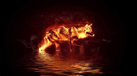 Cool Fire Wolf On Dog Red Fire Wolf Hd Wallpaper Pxfuel