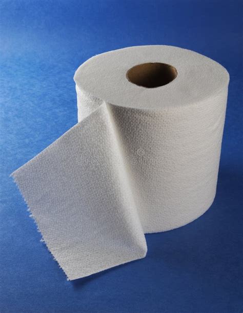 Toilet Paper Stock Image Image Of Roll Unrolled Toilet 3443245