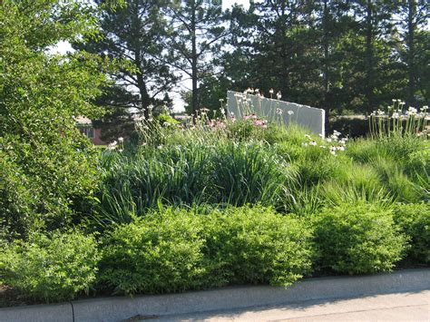 How To Design A Native Plant Garden Dyck Arboretum