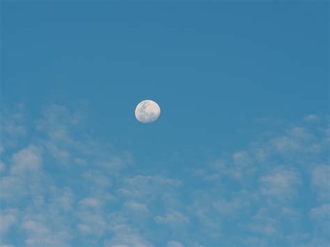 Daytime Moon Pictures Download Free Images On Unsplash