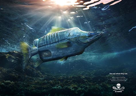 Sea Shepherd Print Advert By Ogilvy Seabass Ads Of The World