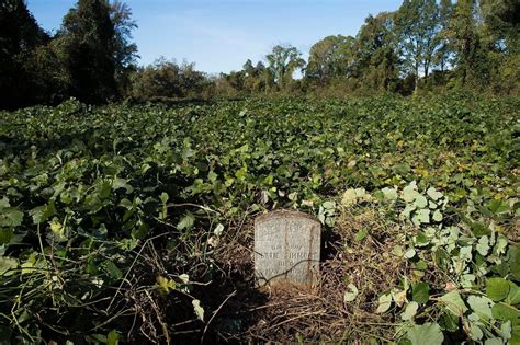 Blackartdepotits Sad To Hear How Many Historic African American Cemeteries Are Neglected Hav