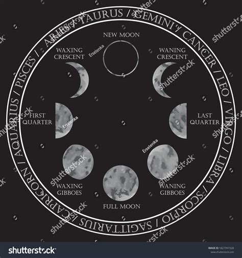 Moon Phases Illustrations Zodiac Signs Astrological Stock Vector