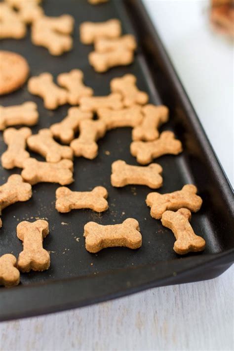 Homemade Peanut Butter Dog Treats Eating Bird Food Dog Biscuit