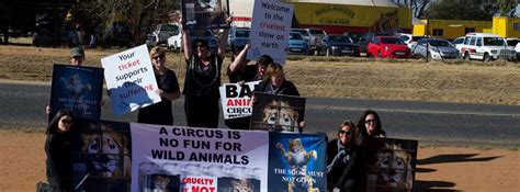 Ban Animal Trading South Africa TV Advert | Pet Health CareBan Animal