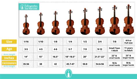 Violin Sizes Cheat Sheet 🎻 Violin Sizes Violin Violin Sheet Music