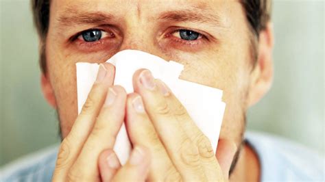 La Alergia A Los ácaros Del Polvo Aumenta Cada Año AquÍ Medios De