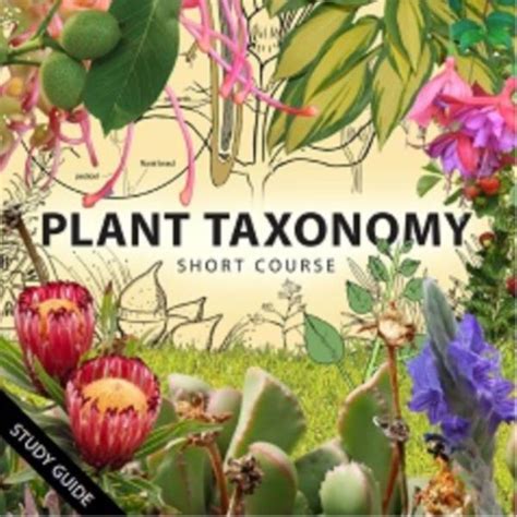 Plant Taxonomy Online Course Botany Identifying Plants