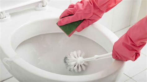 ¡descubre Los 5 Secretos Infalibles Para Limpiar La Taza Del Baño En