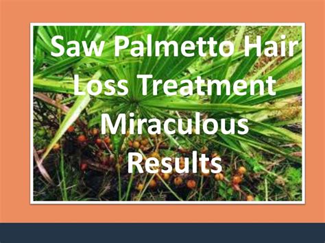 PPT Saw Palmetto Shampoo Treat Your Hair Loss Naturally PowerPoint Presentation ID