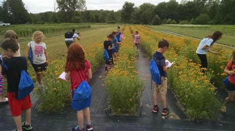 School Visit Michigan Wildflower Farm