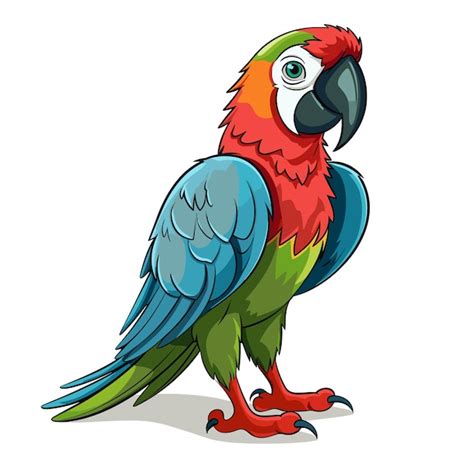 Premium Vector Cartoon Colorful Parrot Isolated On White