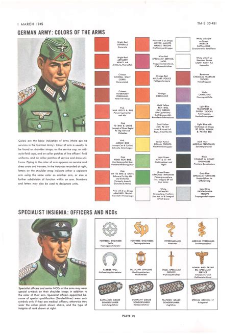 German Army Colors Of Arms Specialist Insignia