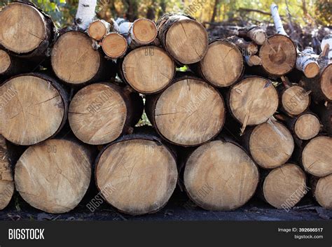 Pile Wood Logs On Edge Image And Photo Free Trial Bigstock