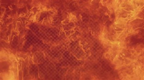 Fire Stock Motion Graphics Motion Array