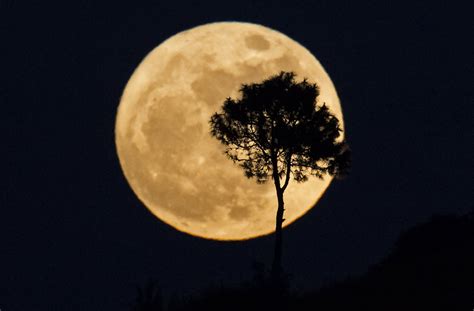 photo gallery extra supermoon closest to earth since 1948 multimedia ahram online