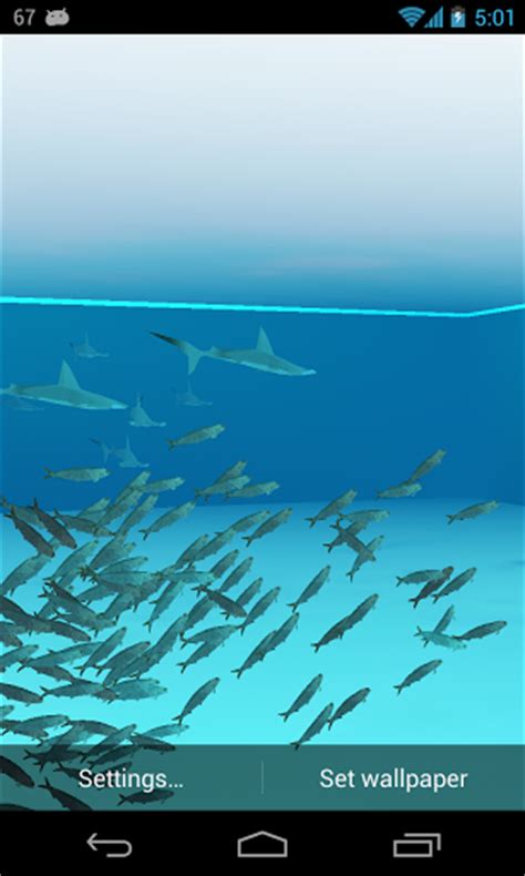 Free Download Android Apk 3d Shark Live Wallpaper Apk Files For