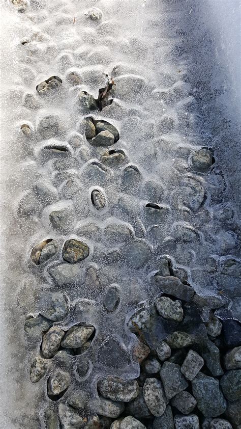 Icy Stones Frozen Garden Flickr