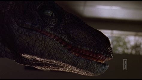 Raptors In The Kitchen Jurassic Park 1993 Youtube