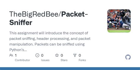 Github Thebigredbee Packet Sniffer This Assignment Will Introduce The Concept Of Packet