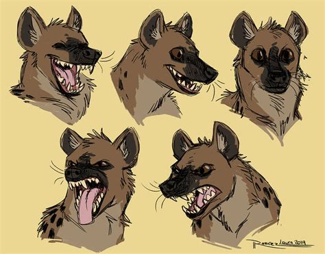 Hyena Faces By Lauraramirez On Deviantart