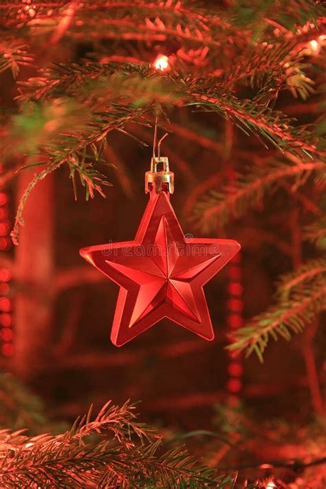 Beautiful Christmas Star Stock Photo Image Of December 37236702