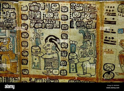 El Codex Tro Cortesianus Códices Mayas La Civilización Maya
